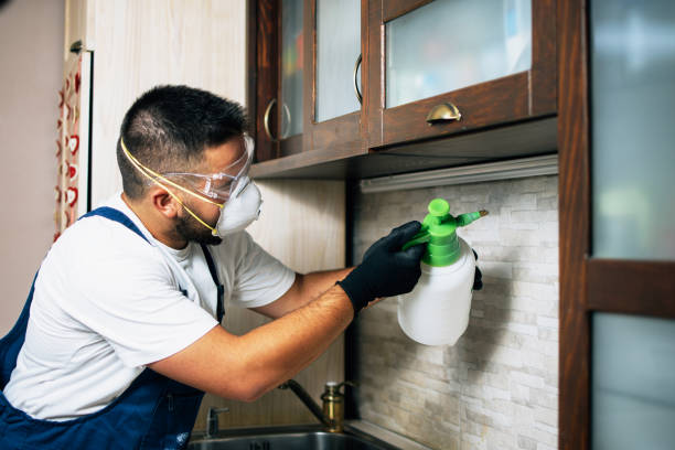 Pest Control for Restaurants in Helena Valley Northwest, MT