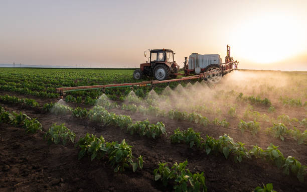 Best Pest Control Near Me  in Helena Valley Northwest, MT