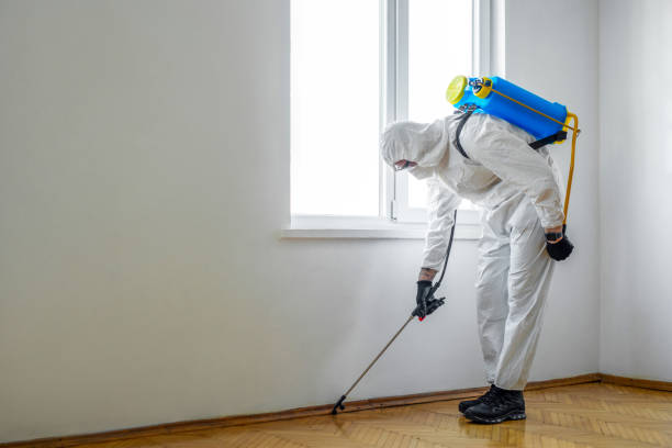 Best Wildlife Control Services  in Helena Valley Northwest, MT