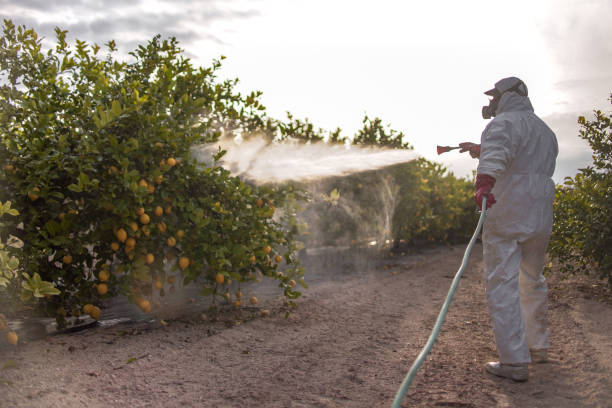 Best Best Pest Control Companies  in Helena Valley Northwest, MT