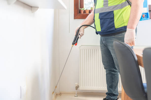 Best Ant Control Services  in Helena Valley Northwest, MT
