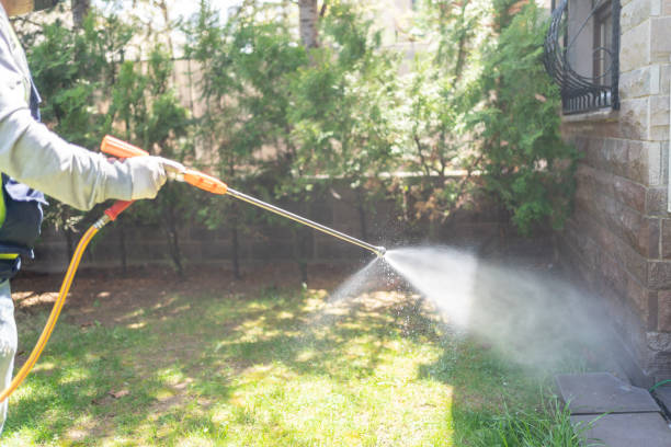 Best Best Pest Control Companies  in Helena Valley Northwest, MT
