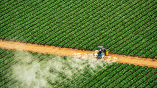 Best Mosquito Control Services  in Helena Valley Northwest, MT