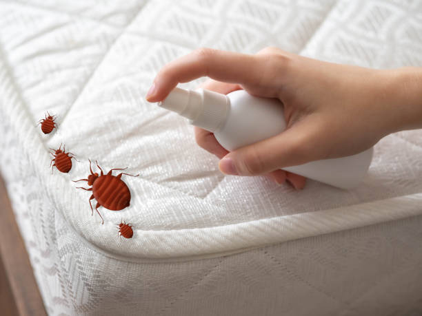 Pest Control Cost in Helena Valley Northwest, MT