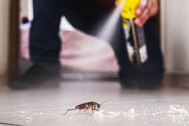 Best Exterminator Services  in Helena Valley Northwest, MT