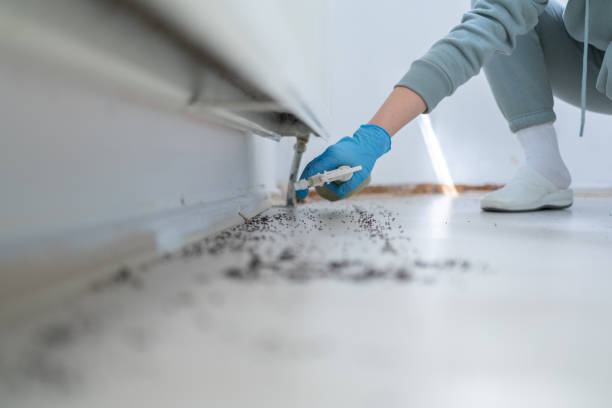 Best Local Pest Control Services  in Helena Valley Northwest, MT